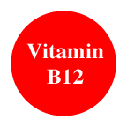 vitamin-b12